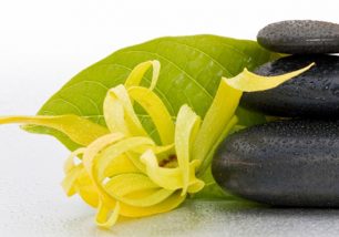 Olio essenziale di ylang ylang: benefici e usi